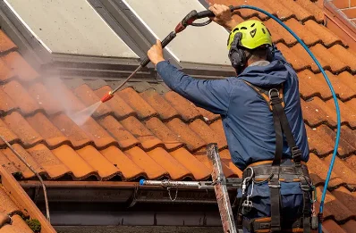 Démoussage et hydrofuge de toiture à Taninges